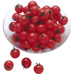 cherrytomato_03_1.jpg